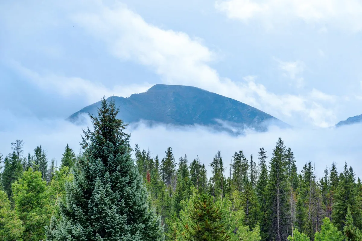 A breathtaking mountain view with a prominent peak, dense forest, and a layer of fog covering the ground. The landscape is inviting for hiking, nature exploration, and peaceful walks, hinting at the area's natural beauty.