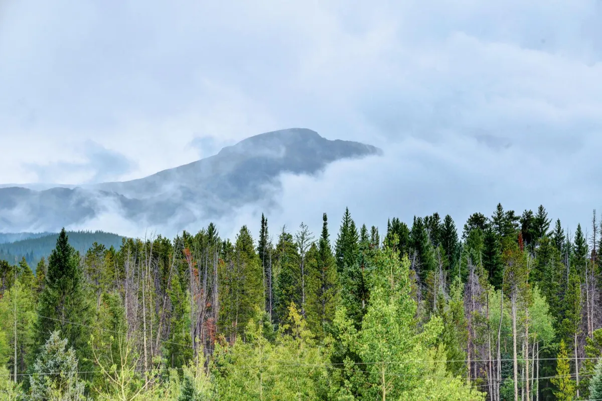 This image captures a breathtaking view of a mountain range surrounded by dense forest, with soft cloud cover lending a tranquil, scenic ambiance. The landscape reflects the kinds of outdoor adventures mentioned in the section—hiking, nature photography, and wildlife observation—hinting at both winter and summer activities.